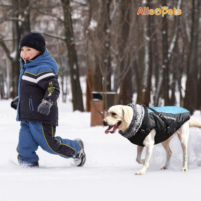 Водонепроникний теплий зимовий одяг для собак ALLSOPETS - куртка з світловідбиваючими смугами, тепла жилетка для холодної погоди (Himmelblau, 2XL)