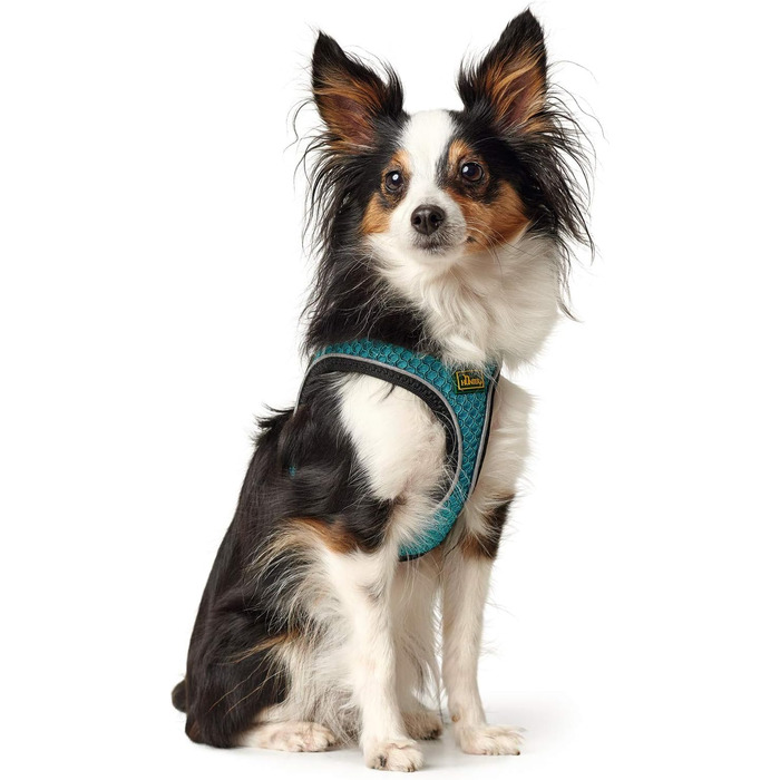 Нашийник для собак HUNTER HILO COMFORT, турквіс, S-M. Легкий, з сітчастого матеріалу, з відбиваючими елементами, для собак маленької та середньої породи.