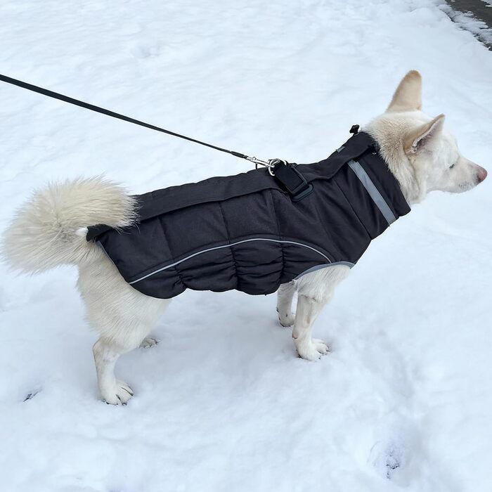 Водонепроникний теплий зимовий одяг для собак - куртка-жилет для цуценят та малих собак, червоний, розмір M (чорний, XL)