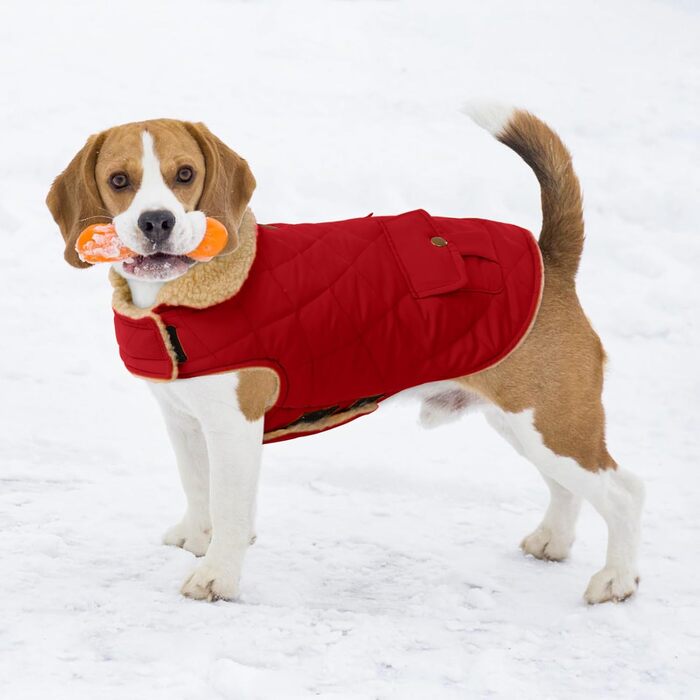 Зимовий теплий одяг для собак: куртка з флісу, підходить для чихуахуа, такс, червона, розмір S
