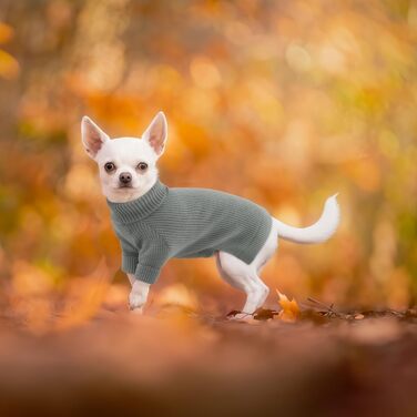 Теплий зимовий пуловер для собак маленьких та середніх порід, з коміром-горловиною. Підходить для Чихуахуа, Такси, Французького бульдога та інших. Колір: сірий, розмір M