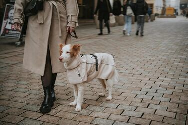 Теплий водонепроникний теплий накидка для собак HUNTER NORDBY, колір кремовий, розмір 55x55