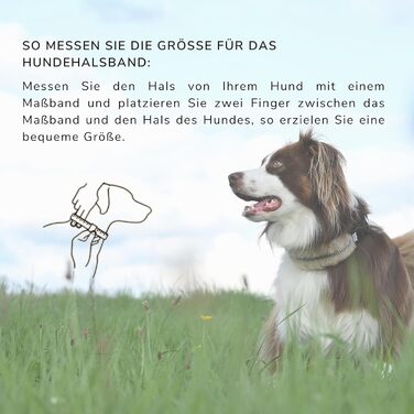 Інноваційний нашийник для собак CHRIS з ланолінової вовни, зменшує випадіння шерсті, з підкладкою, світловідбиваючий, регульований, для собак малих, середніх та великих порід, розміри M (35-45см), L (45-55см), XL (55-65см), колір антрацит