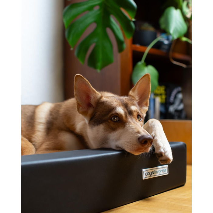 Крісло-лежанка для собак, лежанка для собак, м'яке крісло-лежанка для собак, розмір M, 90 x 70 см, білий