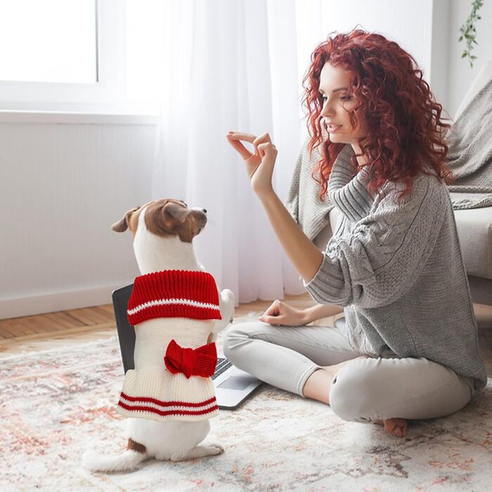 Вовняний пуловер для собак Галатея, теплий трикотажний комір для чихуахуа, бульдога, такси, йорка (L, червоний)