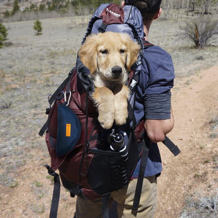 Набір мисок для собак LumoLeaf (2 шт.): дорожні, складані, 2L та 2.4L об'єм, для подорожей, легкі, для води та корму