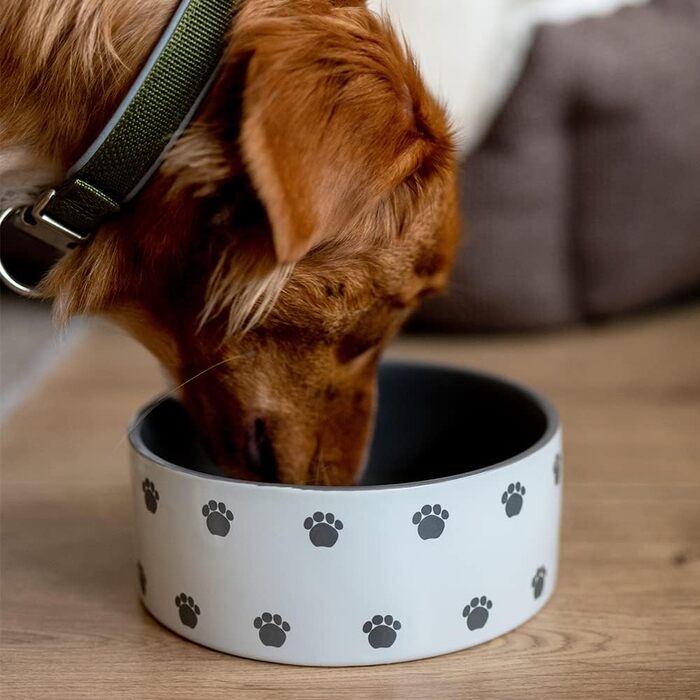 Керамічна миска для собак Nobby PATA, кремово-сірий колір, Ø18 x 7 см, 1,10 л