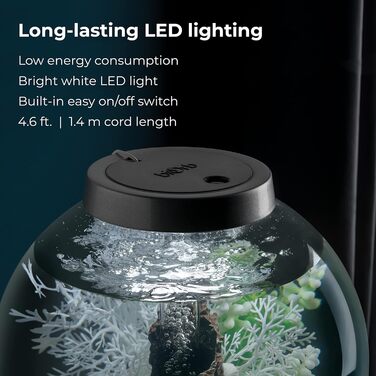 Акваріум biOrb CLASSIC 30 LED чорний, набір з фільтром, LED-підсвіткою та керамічним ґрунтом із міцного акрилового скла, декоративний комплект