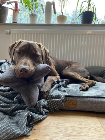 Подушка для собак Lebon Cruto XL - м'яка, для відпочинку та ігор, Made in EU