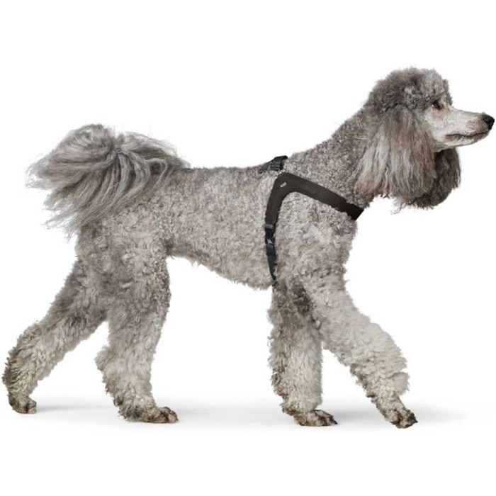 Нашийник для собак HUNTER DIMARO, чорний, м'яка та міцна шкіра, регульований, для цуценят та собак, що бояться, розмір S-M