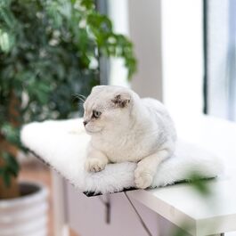 Topmart віконна полиця для котів, велика лежанка, котяче сидіння, полиця на підвіконня