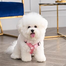 Шлея та повідець Juicy Couture Bling Velours для собак і котів, рожевий, розмір S