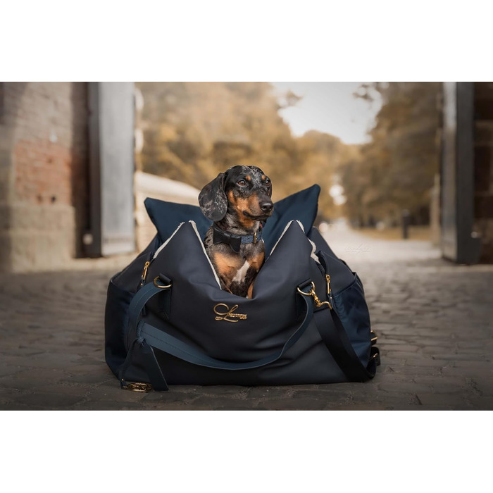 Еліанн | Дизайнерський автокрісло для собак | Навігатор, синій | Міцне | Дизайнерський бренд | Для собак маленьких та середніх порід | Підвищене автокрісло для собак