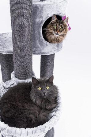 Дряпка для котів Petrebels Charlotte 180 см, преміум-якість, з гамаком, товсті стовпи Ø12 см, сіра