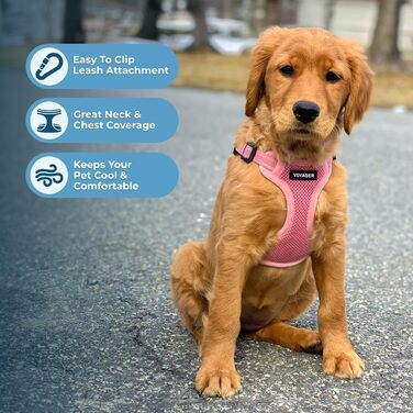 Шлейка для собак Voyager з регулюванням та світловідбиваючими смугами Best Pet Supplies - Міцна повна жилетка без натягу з кільцем для повідка, дихаюча, Рожева, розмір XS (Обхват грудей: 13-16 дюймів)