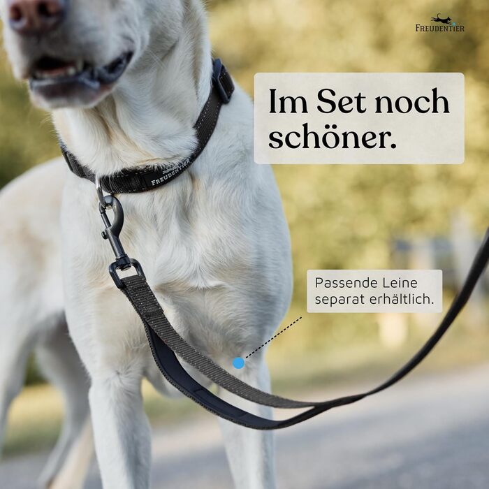 Нашийник для собак Freudentier - м'який, з неопрену, світловідбиваючий, міцний. Підходить для собак маленьких, середніх та великих порід (Чорний, 30-40 см)