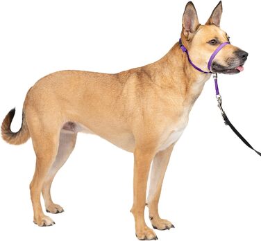 Нашийник для дресирування PetSafe Sanfter Führer, фіолетовий, Medium (упаковка 1)