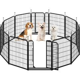 псевдонім:: 12тлг