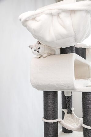 Драбина для котів Petrebels Maine Coon XXL, 210 см, з сизалю, бежева