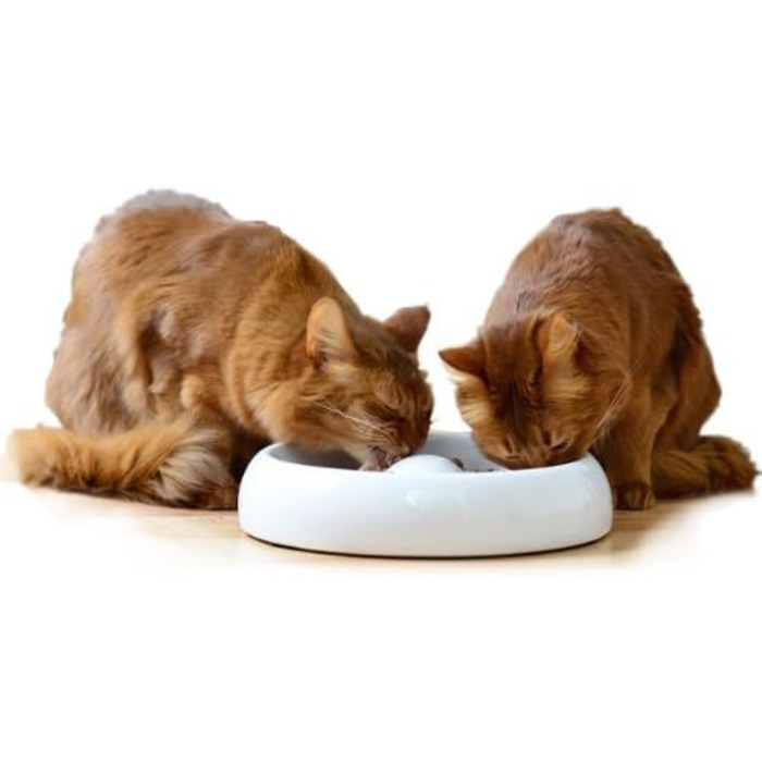 Керамічна миска для котів Lucky-Kitty XL, 27 см, для всіх порід та віку | Миска для корму котів, стійка до миття в посудомийній машині