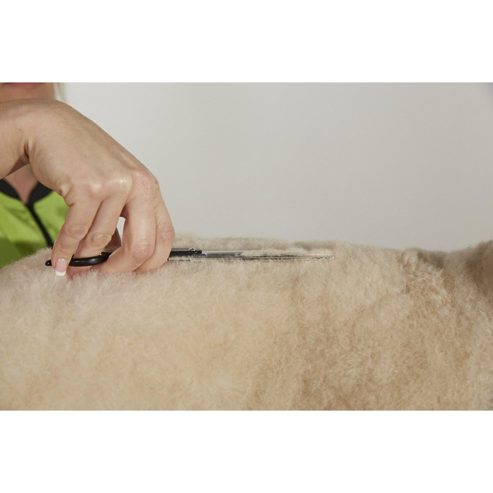 Ножиці для стрижки собак та котів Andis 6.5' професійні, правша, розріджуючі (80645)