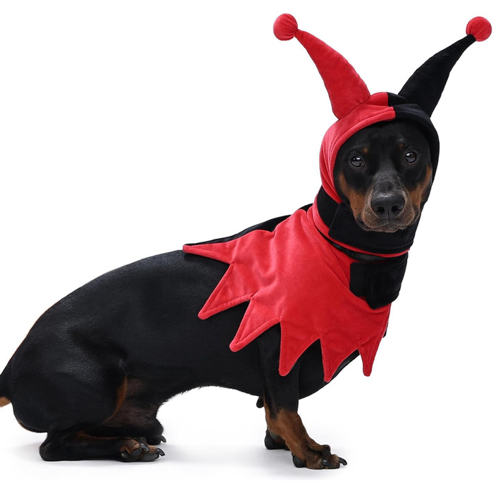 Костюм на Хелловін для собак Lelepet з капелюхом та мантією, веселощ для домашніх тварин, косплей на Хелловін, наряд для вечірки, костюм для дітей, середніх та великих собак, однотонний червоний (Getaway Solids)