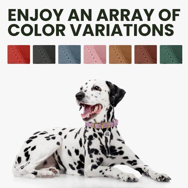 Шкіряний нашийник для собак BRONZEDOG з QR-ID тегом, регульований, м'який, круглий, для малих, середніх та великих собак, цуценят, котів (40-48 см), (Джинс, 23-28 см)