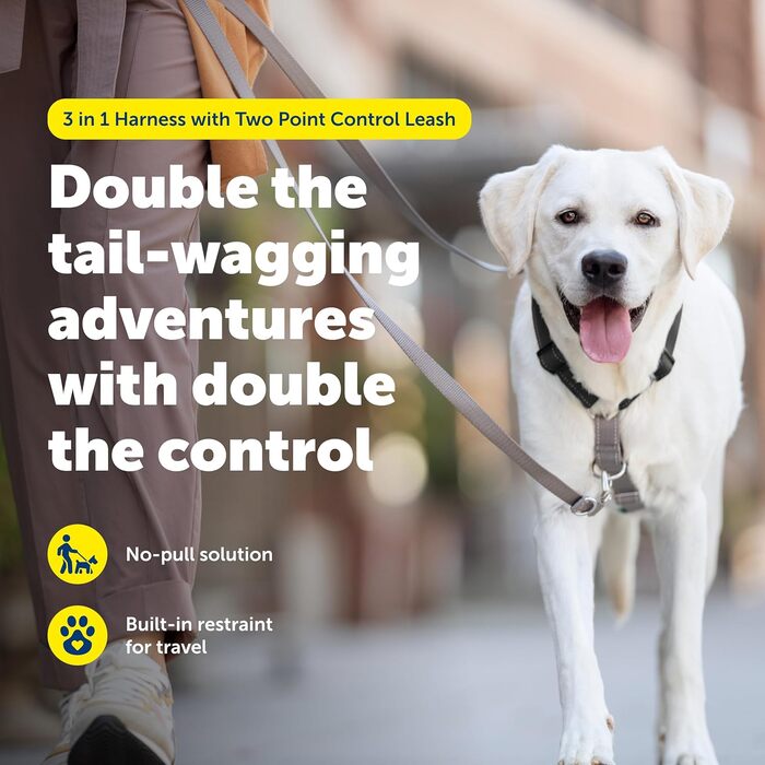 Шлейка PetSafe 3-в-1 з двоточковою контрольною лінією, індивідуальна посадка, зносостійка, обладнання для дресирування, зменшує тягу, дихаюча, чорна, середній розмір (упаковка 1)