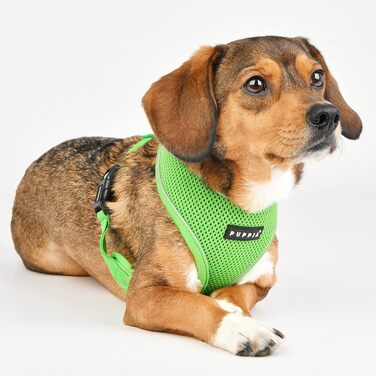 М'яка шлейка для собак Soft Harness Pro, зелена, розмір M