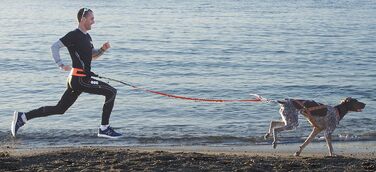 Повідок для бігу з собакою I-dog Canicross ONE, нейлоновий