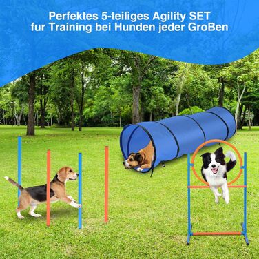 Набір для аджиліті Sonnewelt Agility Set для собак, 5-ти елементний: слалом, бар'єр, кільце для стрибків, тунель. Ідеально для парку, тренувань та цікавих ігор.