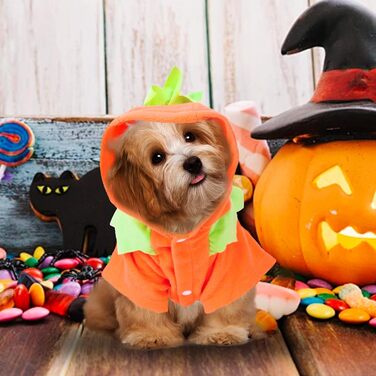Костюм Гарбуза на Хелловін для собак та котів, кумедний одяг для тварин, для маленьких собак, котів, цуценят, розмір XL