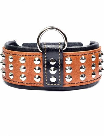 Нашийник для собак Bestia Star з шипами, м'яка підкладка, ширина 6,5 см