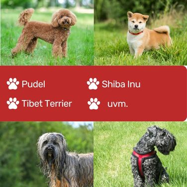 Ножиці для собак EHASO з нержавіючої сталі, 18 см, прямі, з алюмінієвою ручкою, золоті