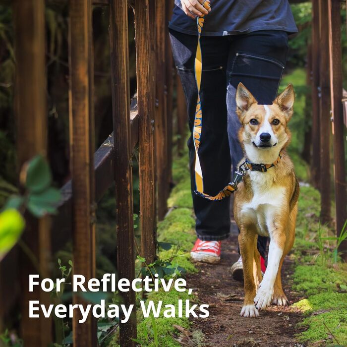 Нашийник для собак Ruffwear Crag, середній, 36-51 см, з алюмінієвим кільцем V, регульований, м'який, преміум-якість, для повідка