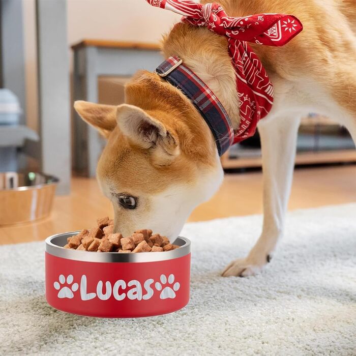 Персоналізований миска для собак та котів – нержавіюча сталева годівниця з іменем, протиковзна миска для собак та котів, поїльник (червоний)