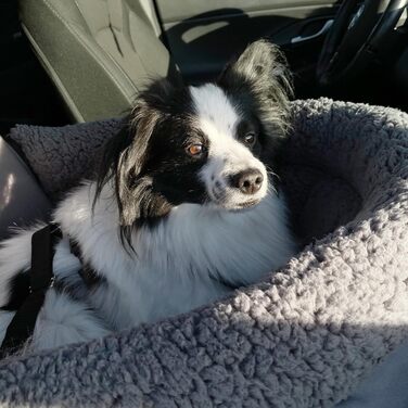 Автокрісло для собак GEAR Frontera – ортопедичне ліжко/кошик для собак, з ременем безпеки, знімний чохол, для маленьких та середніх собак, на передні та задні сидіння, з м'якого тедді