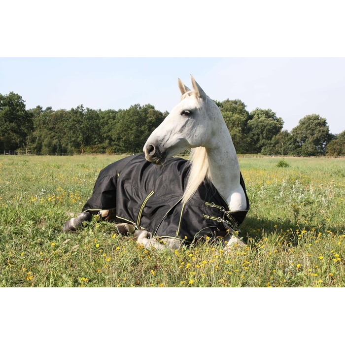 Зимова кінська попона time4horses з високим коміром, утеплена 200 г, водонепроникна, 1200D