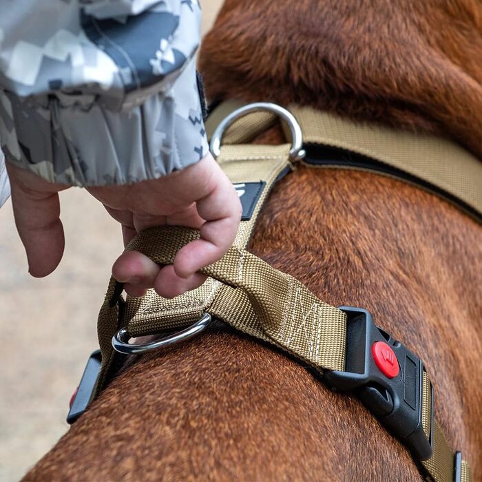 Тактичне шлейка для собак TSPRO No-Pull з ручкою та швидкою застібкою, стабільне регулювання, для собак середніх та великих порід, для прогулянок та бігу (Блакитний L) L (Окружність шиї 54-88 см, Окружність грудей 66-84 см)