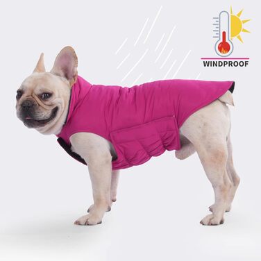 PetWarm Зимовий пуховий жилет для собак, двосторонній, водонепроникний, для маленьких, середніх та великих собак, справжній пух для максимального тепла та захисту від холоду, розмір Small (упаковка 1)