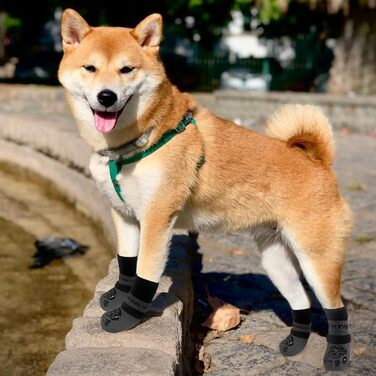 Шкарпетки для собак EXPAWLORER: антиковзаючі, захист від лизання, для гарячих доріг, захист подушечок лап, контроль зчеплення на паркеті, для цуценят, малих, середніх, великих та літніх собак, 6 шт. (Small, чорний та сірий)