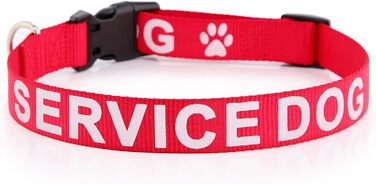 Нашийник для собак Plus Pet Service з великим написом на нейлоновій стрічці, запобігає нещасним випадкам, попереджає інших собак, 2 кольори, 4 розміри