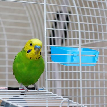 12 годівниць для кроликів Uiifan, 425 мл: годівниці та поїлки для птахів, курячих та морських свинок