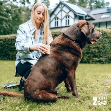 Дзеркальна щітка для собак DR Zoo 'Robbi' – ідеальна для грумінгу, видаляє підшерсток та короткий пух