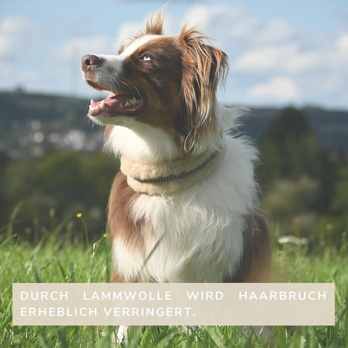 Нашийник для собак Chris з ланолінової вовни, зменшує випадіння шерсті, з підкладкою, світловідбиваючий, регульований, для собак малих, середніх та великих порід, розміри M (35-45см), XL (55-65см), L (45-55см), колір: кремовий