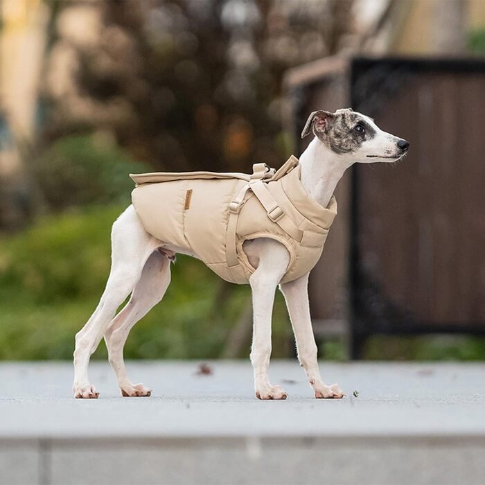 Тепла жилетка для собак з шлейкою, водонепроникний дощовик для маленьких собак, куртка для цуценят на холодну зиму (Хакі, XL)