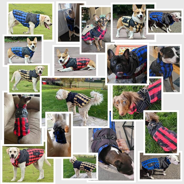 Теплий зимовий одяг для собак: флісова жилетка, куртка з блискавкою, водонепроникний одяг для холодної погоди (L, Синій)