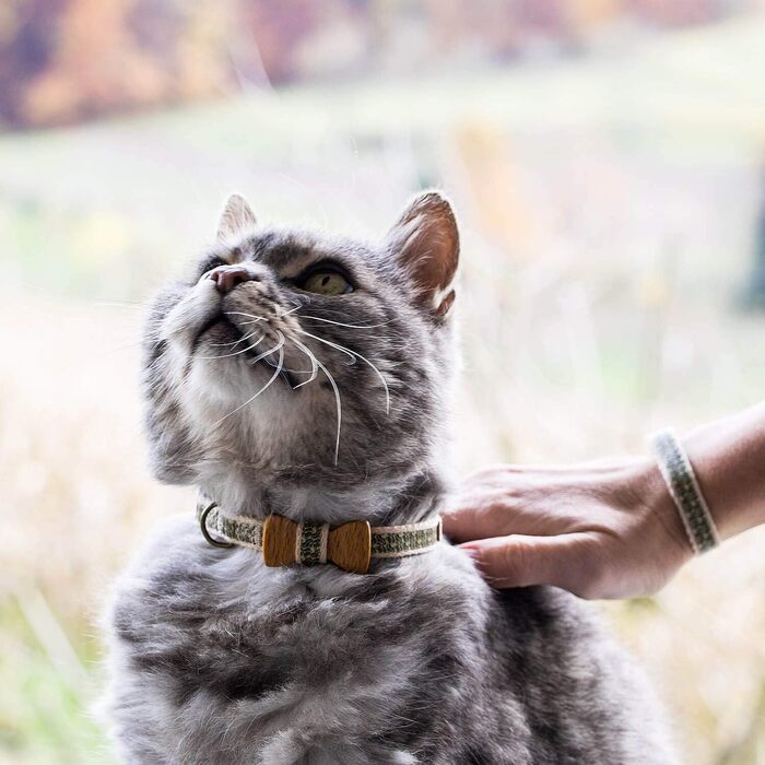 Pettsie нашийник для котів із безпечним замком та дерев'яною метеликом, комплект з браслетом для господаря, міцна бавовна, регулювання 20,3-28 см, чорний