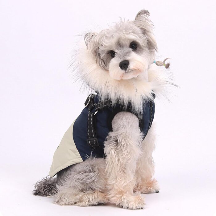 Водонепроникний жилет для собак з капюшоном, теплий жилет з шлейкою для собак, зима, теплий та м'який, розміри S-3X (S, блакитний)