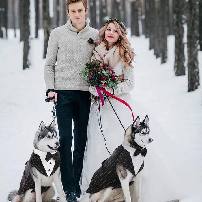 Костюм для собак Kuoser з банданою та краваткою, теплий зимовий, для святкування, вечірки, Хелловін, день народження, S-XXL, смугастий